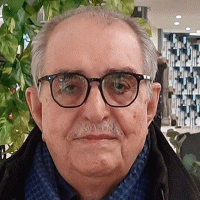 الغابة طريق منهوب